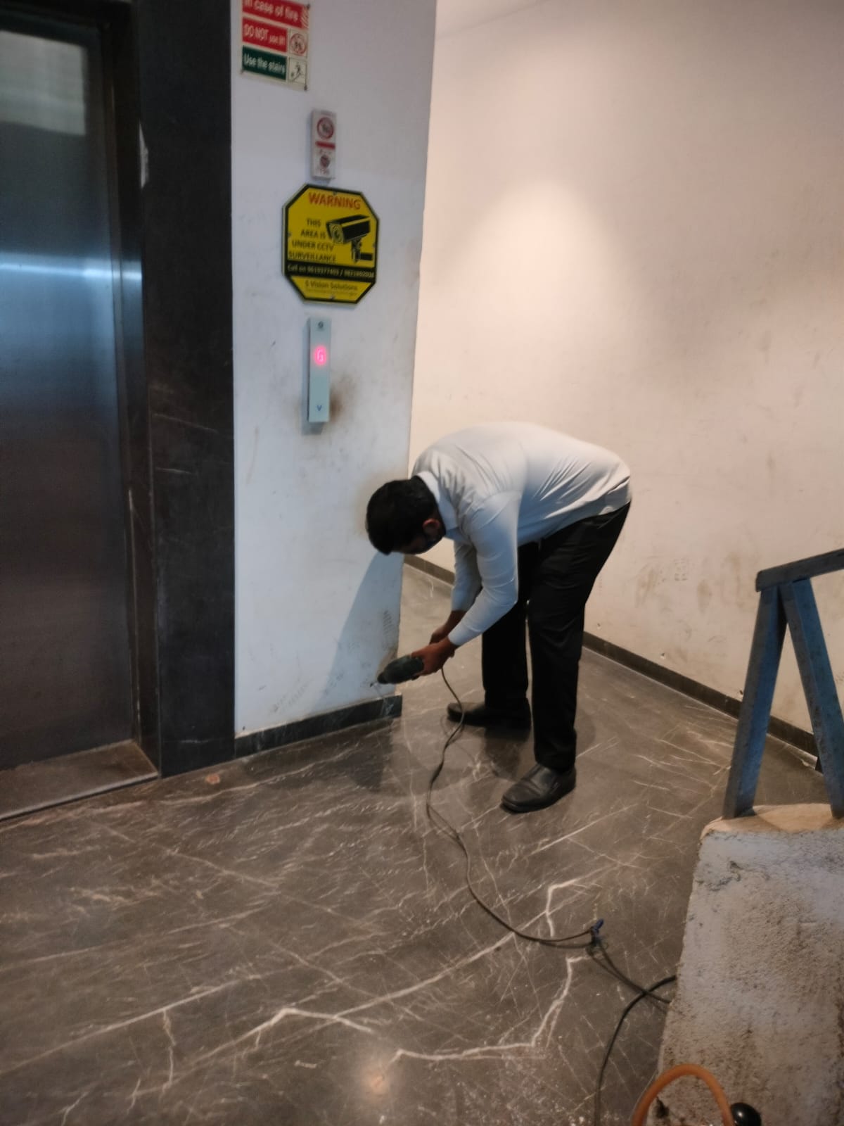 Rodent Control Service